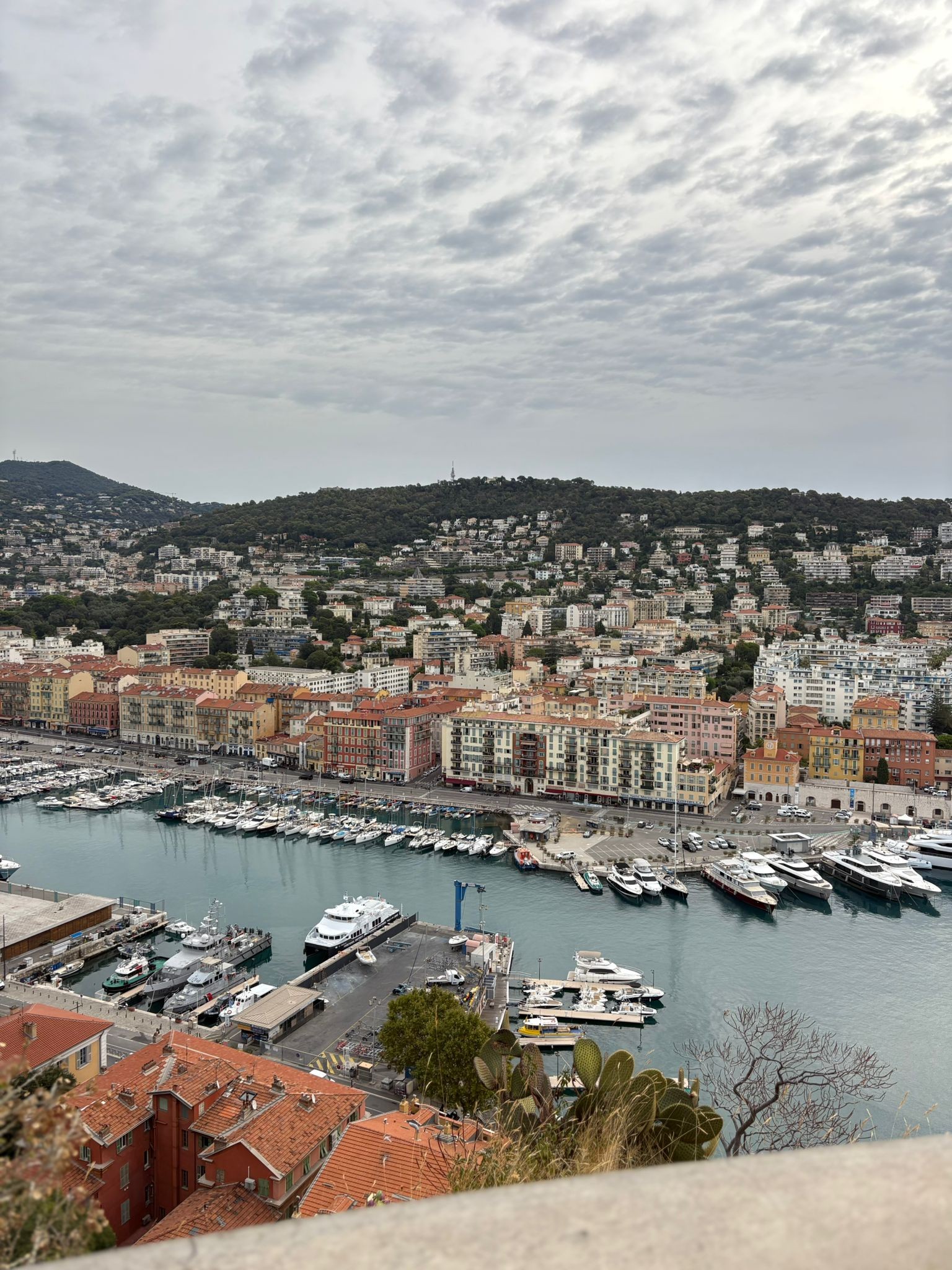 Zdjęcie Nicea 2025 (4)41904a03-92f1-42ac-9471-fbde0b329c13.jpg w galerii Wycieczka po Europie - Nicea